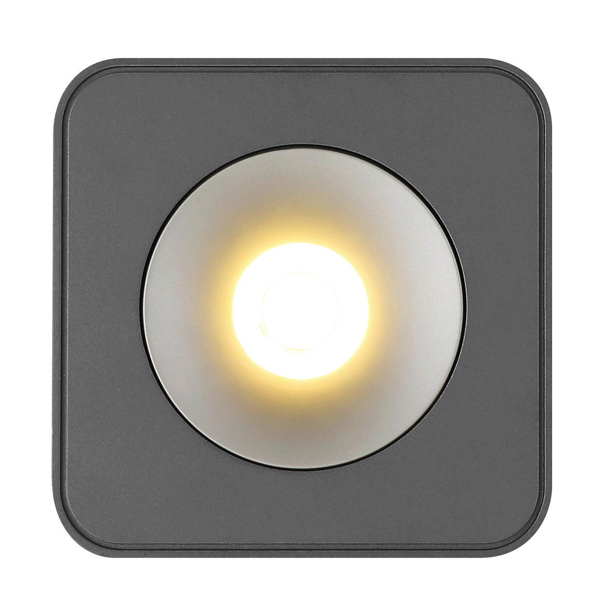 LED ZÁŘIČ, 11.7/11.7/5.5 cm - čiré/tmavě šedá, Konvenční, kov/plast (11.7/11.7/5.5cm) - Globo