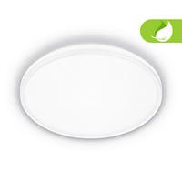 LED SVJETILJKA STROPNA  - Basics (33/6cm)
