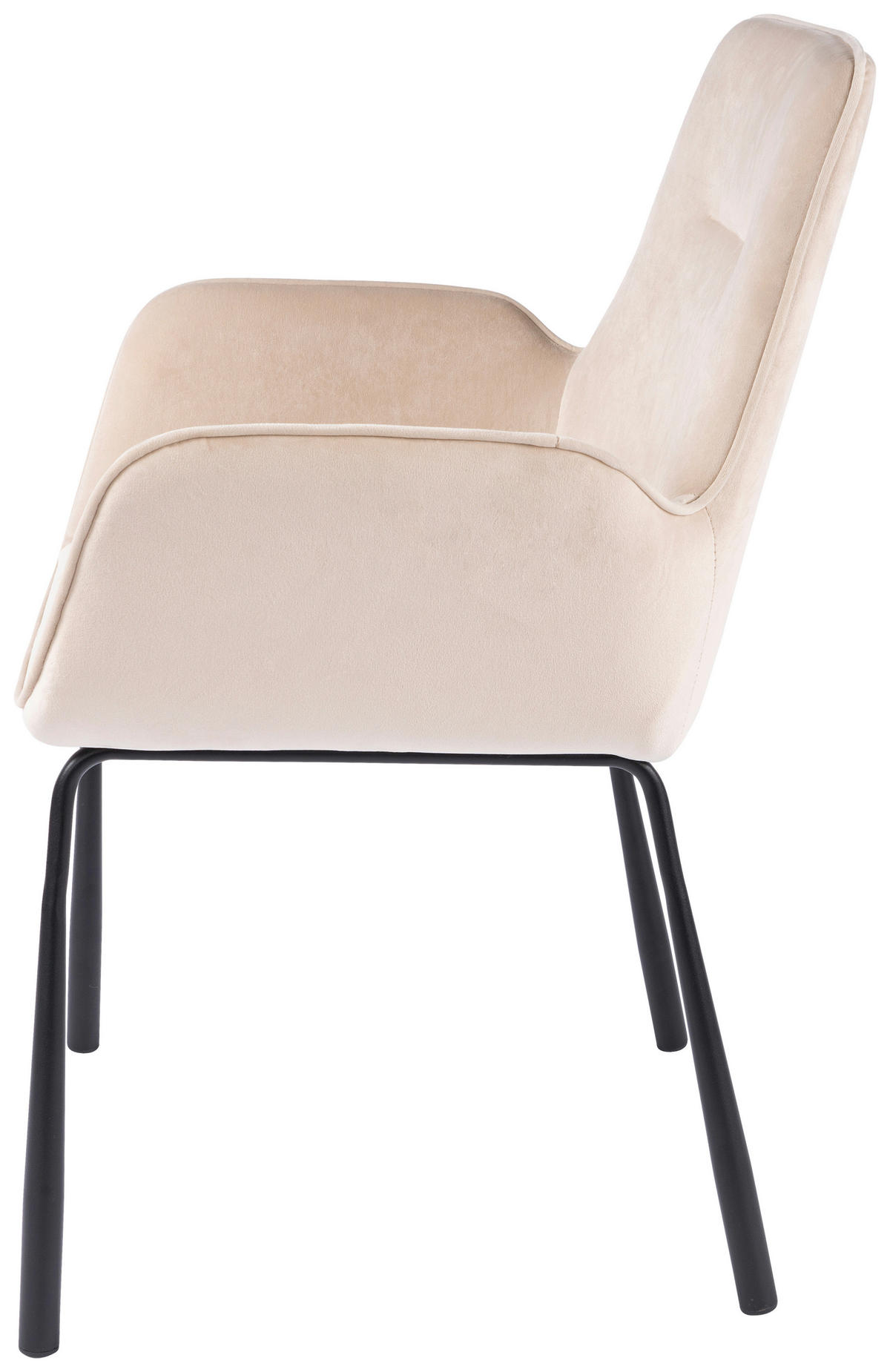 ŽIDLE S PODRUČKAMI, samet, krémová - černá/krémová, Moderní, kov/textil (57/87/58,5cm) - MID.YOU