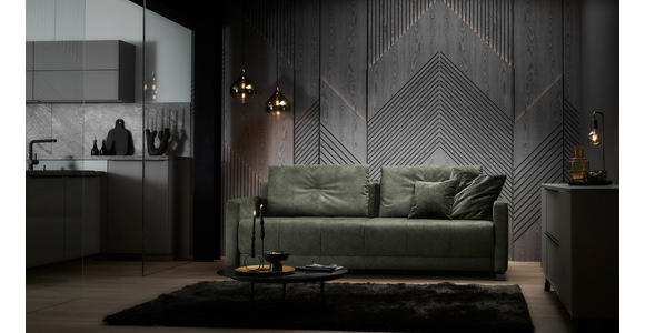 SCHLAFSOFA  in Flachgewebe Dunkelgrün  - Dunkelgrün/Schwarz, KONVENTIONELL, Textil/Metall (232/77/116cm) - Dieter Knoll