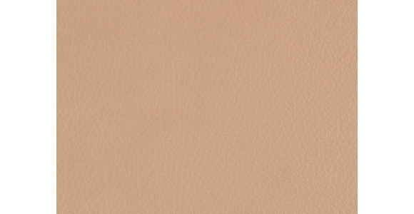 3-SITZER-SOFA in Leder Beige - Beige/Schwarz, Design, Leder/Metall (190/84/99cm) - Dieter Knoll