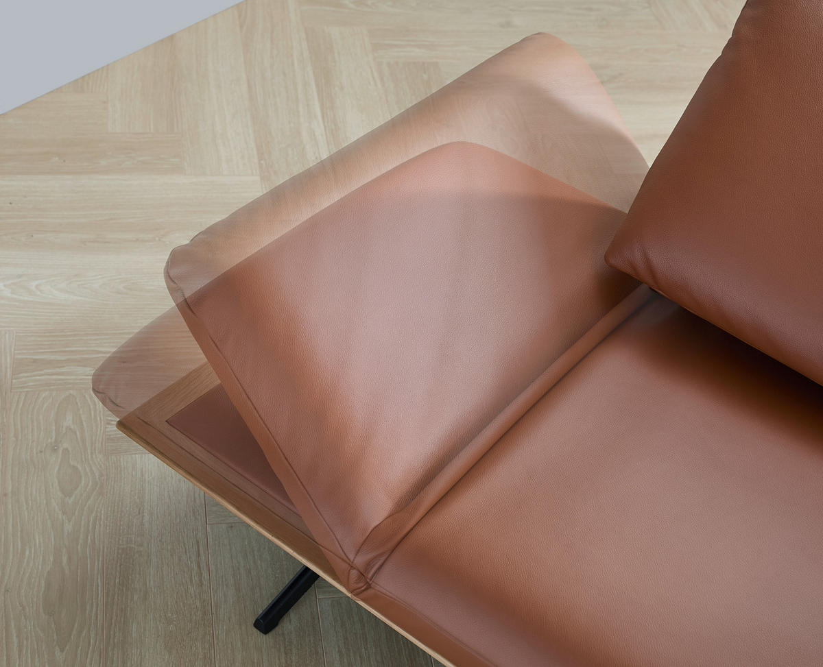 2,5-SITZER Braun Echtleder  - Schwarz/Braun, Design, Leder/Metall (236/115/88cm) - Dieter Knoll
