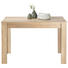 ESSTISCH rechteckig Eichefarben - Eichefarben, Design, Holzwerkstoff (120/80/78cm) - Carryhome