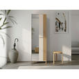 GARDEROBE 5-teilig  in 220/192,5/40 cm  - Kaschmir/Eiche Artisan, Basics, Glas/Holzwerkstoff (220/192,5/40cm) - Carryhome
