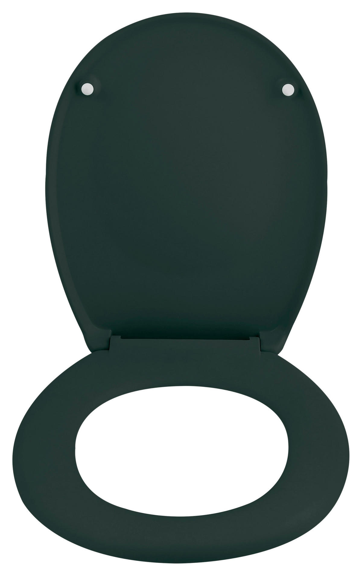 WC-SITZ - Dunkelgrün, KONVENTIONELL, Kunststoff (37,3/5cm) - Spirella