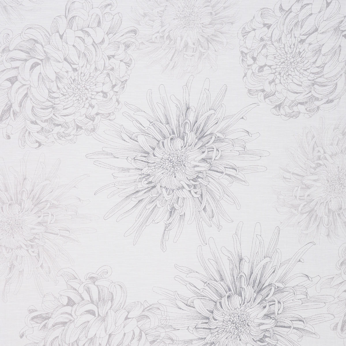 FERTIGVORHANG  halbtransparent   140/255 cm  - Anthrazit, Natur, Textil (140/255cm) - Novel