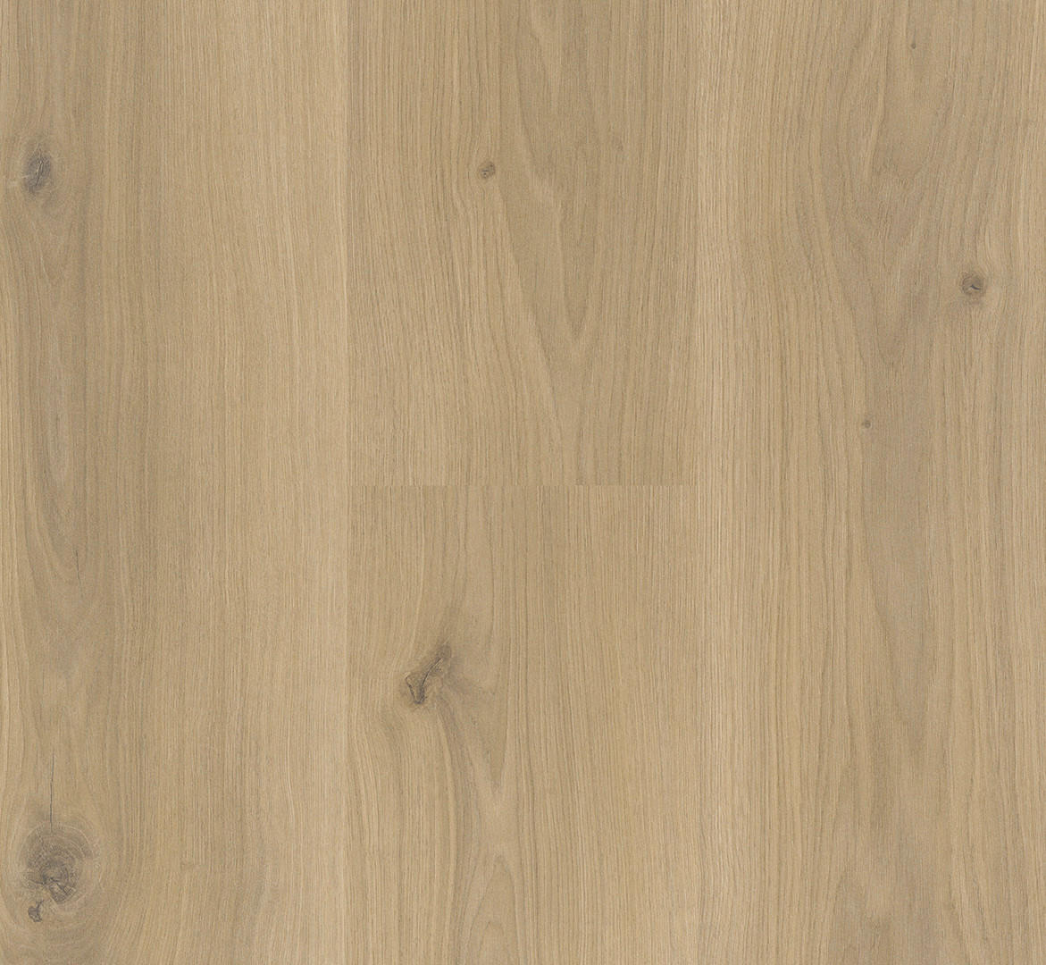 LAMINATBODEN Laminat Basic 400  per  m² - Eichefarben, Basics, Holzwerkstoff (128.5/19.4/0.8cm) - Parador