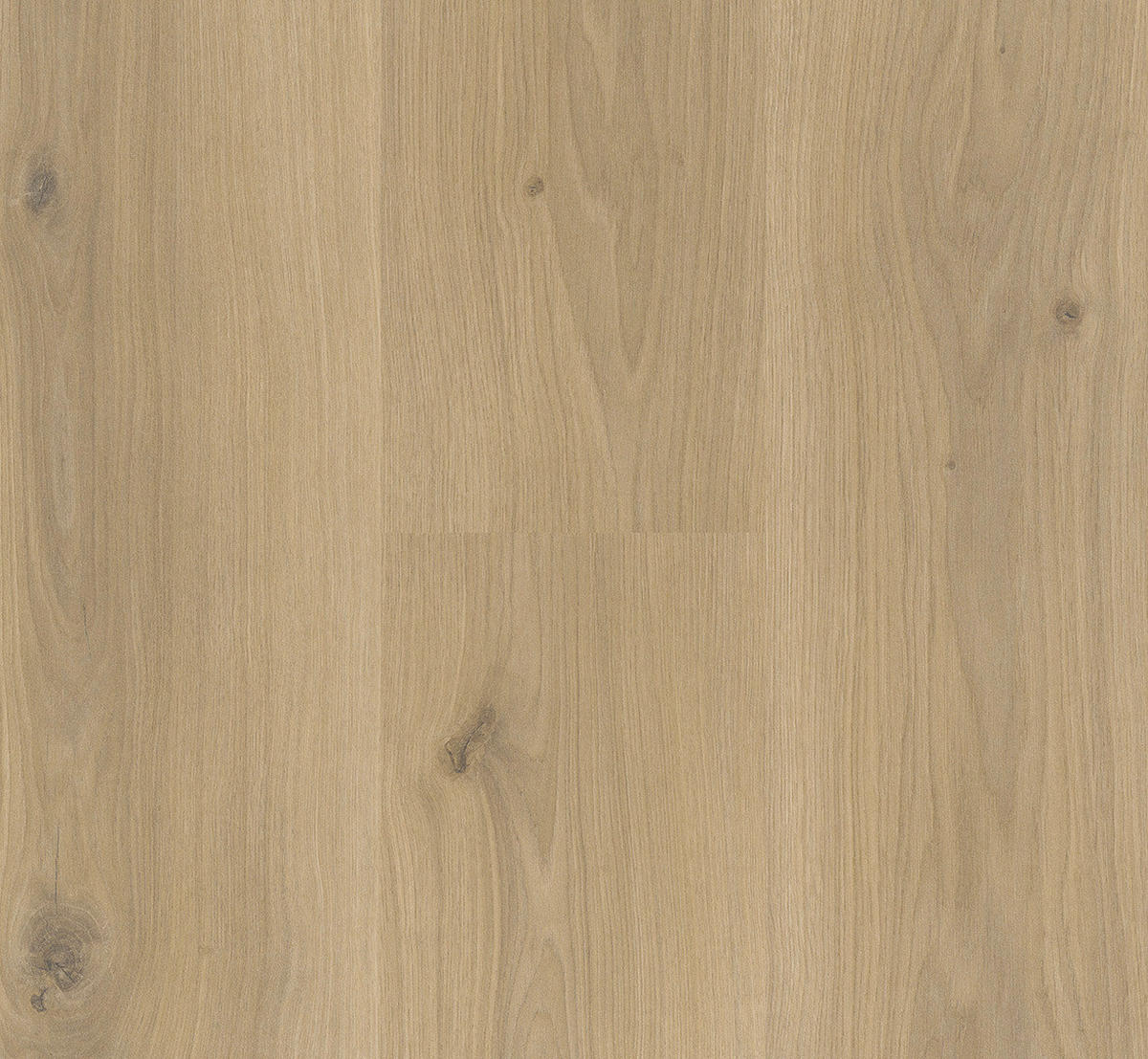 LAMINATBODEN Laminat Basic 400  per  m² - Eichefarben, Basics, Holzwerkstoff (128.5/19.4/0.8cm) - Parador