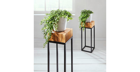 BLUMENSTÄNDER Holz, Metall Eiche vollmassiv  - Eichefarben/Schwarz, Natur, Holz/Metall (25/25/53cm) - Linea Natura