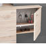 GARDEROBE Eichefarben, Grau - Eichefarben/Grau, Design, Glas (110/205/40cm) - Carryhome