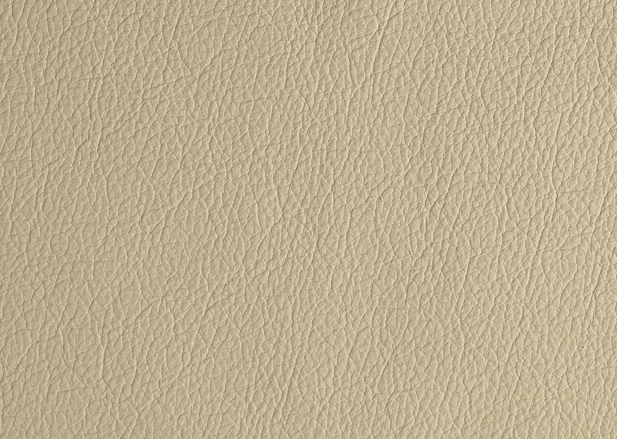 SCHLAFSOFA in Echtleder Schlammfarben  - Schlammfarben/Schwarz, Design, Leder/Metall (209/94/94cm) - Novel