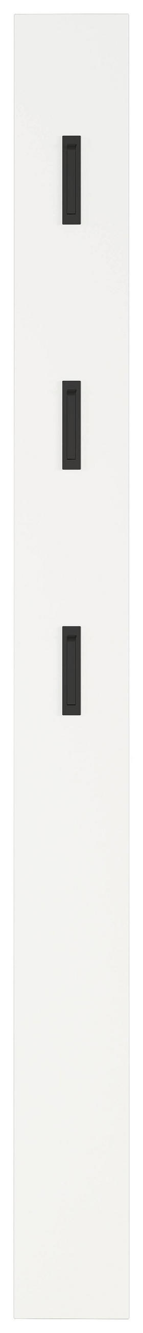 GARDEROBENPANEEL  in 15/170/3 cm  - Schwarz/Weiß, Basics, Holzwerkstoff (15/170/3cm)