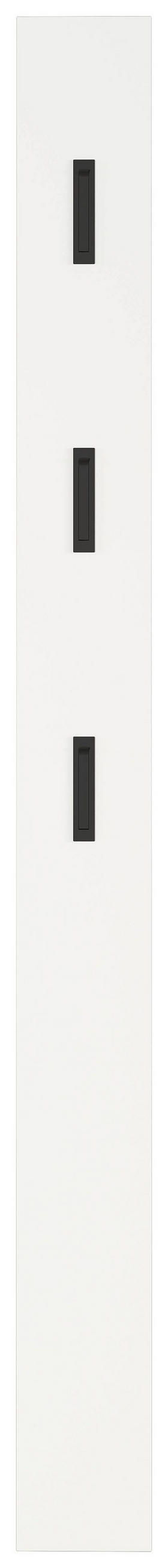 XXXL ŠATNÍ PANEL, černá, bílá, 15/170/3 cm