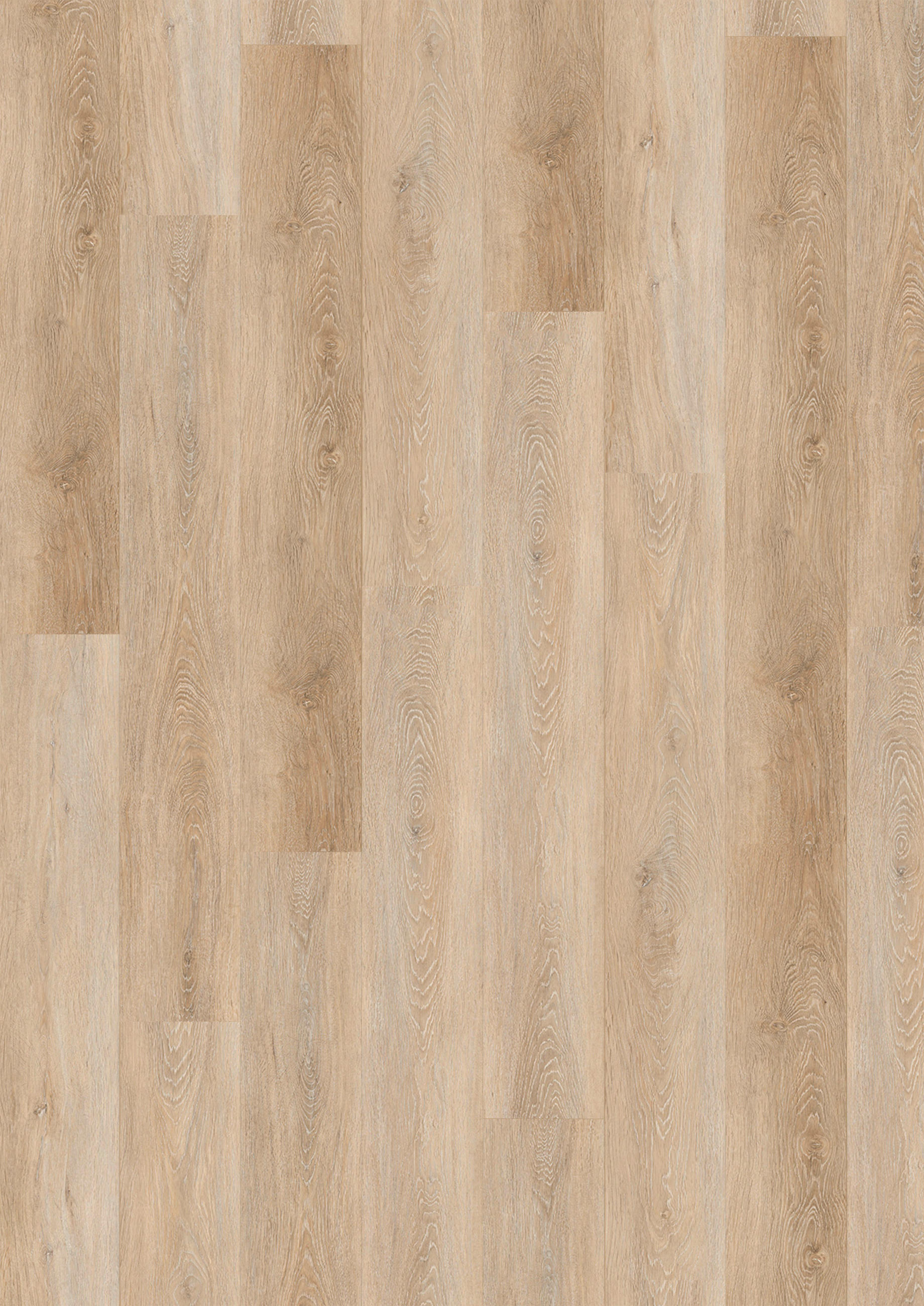 VINYLBODEN SPC 5mm inkl. Trittschall  per  m² - Eichefarben, Basics, Kunststoff (18,3/122/0,5cm)