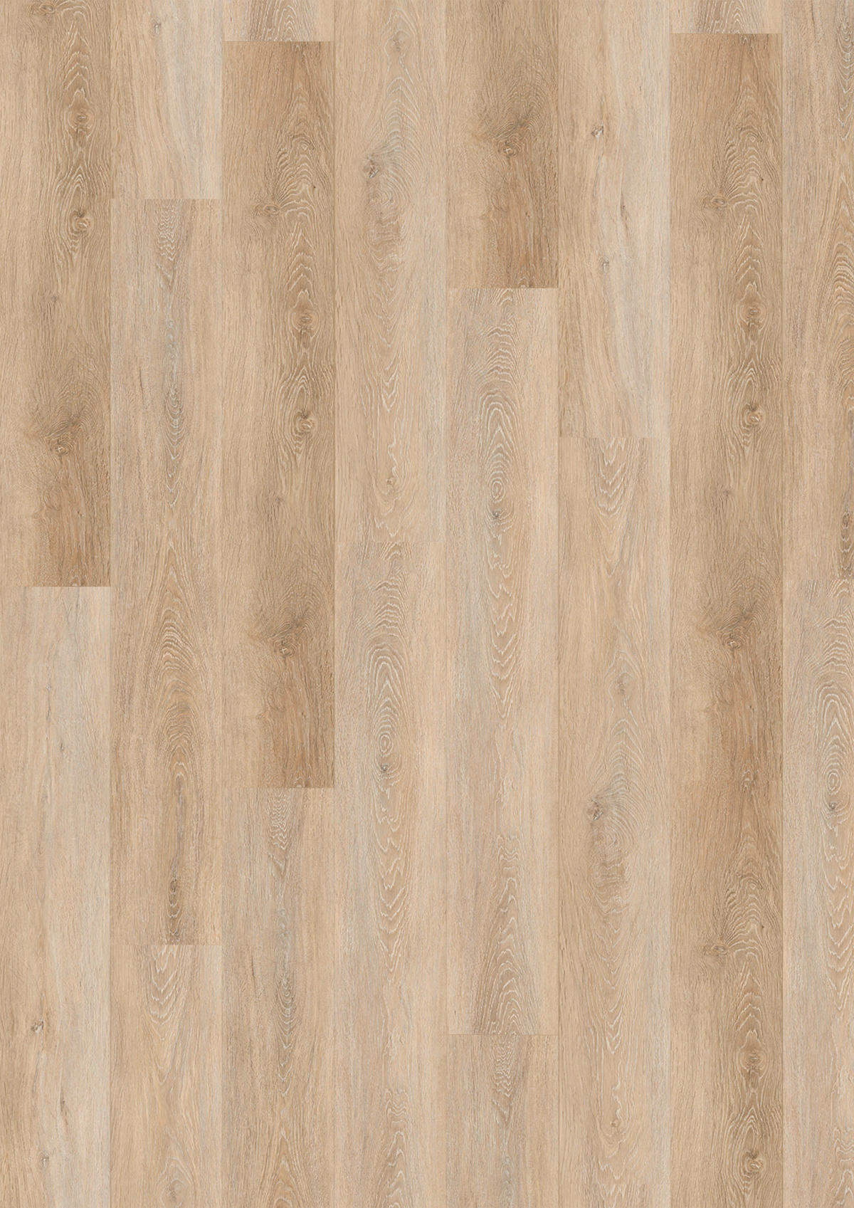 VINYLBODEN SPC 5mm inkl. Trittschall  per  m² - Eichefarben, Basics, Kunststoff (18,3/122/0,5cm)