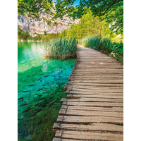 KEILRAHMENBILD Landschaft & Natur 60/80 cm  - Multicolor, Basics, Holz/Papier (60/80cm)