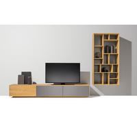 WOHNWAND  in Grau, Eichefarben  337,8/192,4/48,3 cm  - Eichefarben/Grau, Design, Glas/Holz (337,8/192,4/48,3cm) - TEAM 7