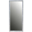 WANDSPIEGEL 50/110/2,8 cm    in  - Silberfarben, Design, Glas/Kunststoff (50/110/2,8cm) - Xora
