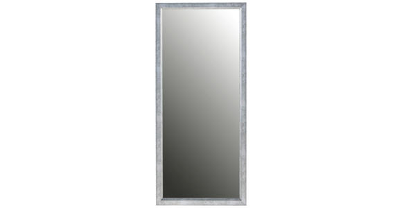 WANDSPIEGEL 50/110/2,8 cm in - Silberfarben, Design, Glas/Kunststoff (50/110/2,8cm) - Xora