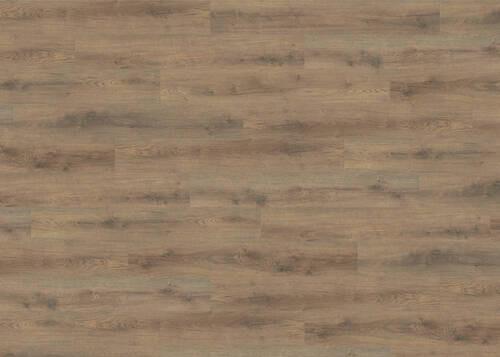 LAMINATBODEN Living by HARO Laminat Sonderedition NKL 31  per  m² - Mokka, Basics, Holzwerkstoff (19.3/128.2cm) - Living by HARO