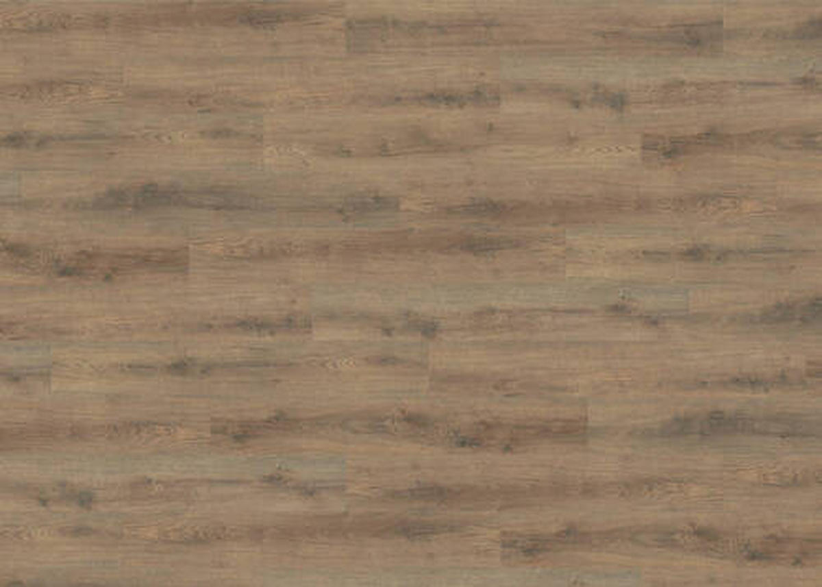 LAMINATBODEN Living by HARO Laminat Sonderedition NKL 31  per  m² - Mokka, Basics, Holzwerkstoff (19.3/128.2cm) - Living by HARO