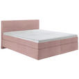 BOXSPRINGBETT 160/200 cm  in Rosa  - Schwarz/Rosa, KONVENTIONELL, Kunststoff/Textil (160/200cm) - Hom`in