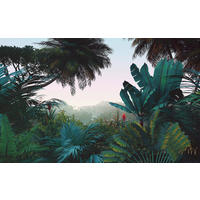 VLIESTAPETE 2,5 m  - Multicolor, Basics (400/250cm) - Xora