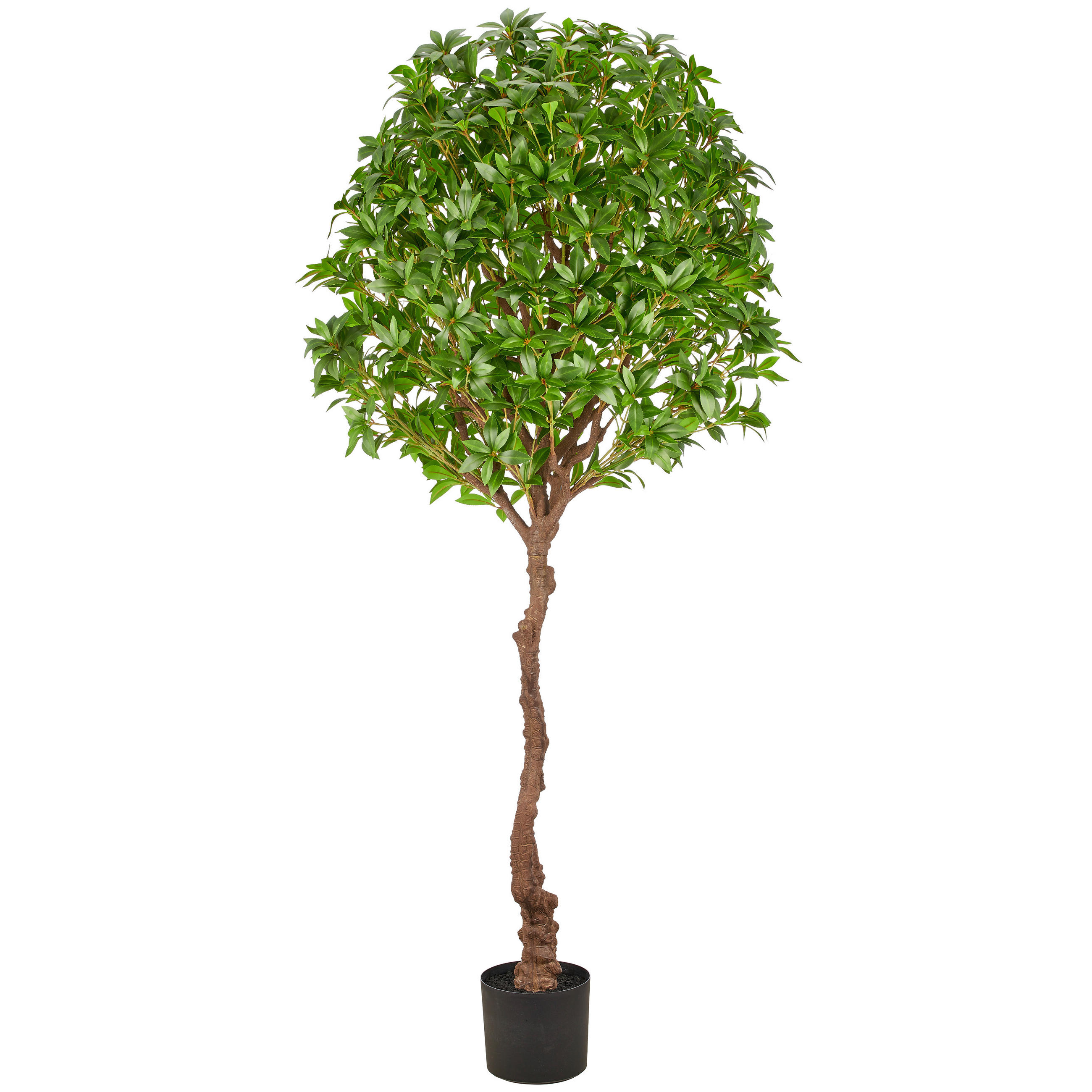 KUNSTPFLANZE 190 cm  - Schwarz/Braun, Basics, Kunststoff (190cm)
