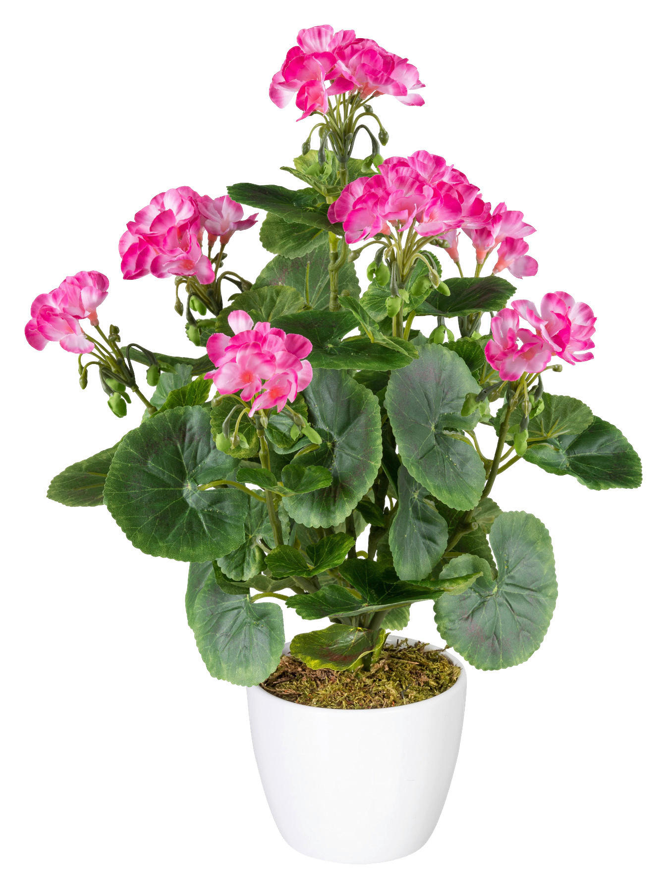 KUNSTPFLANZE Geranie 40 cm  - Pink/Weiß, Design, Keramik/Kunststoff (40cm) - P & B