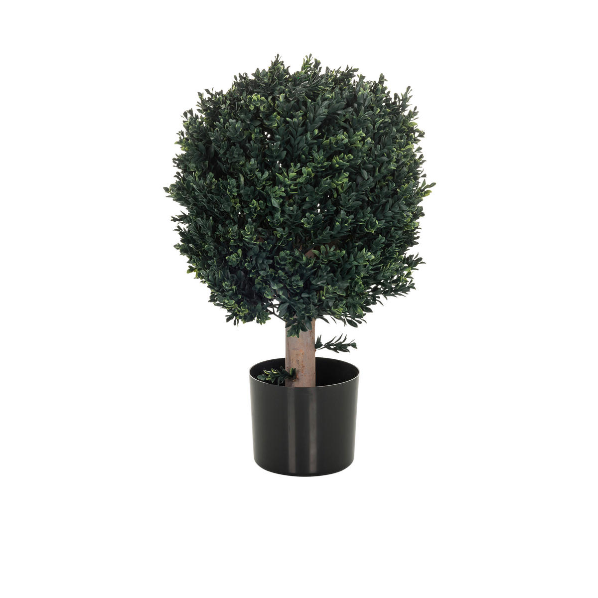 KUNSTPFLANZE Buchsbaum  - Schwarz/Braun, Basics, Kunststoff (40/65/40cm) - MID.YOU