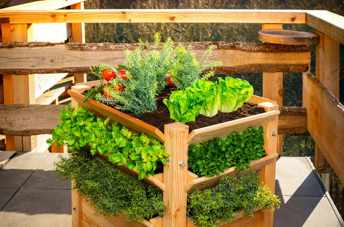 VYVÝŠENÝ ZÁHON   - farba smrekovca, Basics, drevo (65/73/65cm)