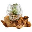 VASE 15 cm  - Klar/Transparent, Natur, Glas/Holz (12/15-16cm) - Ambia Home