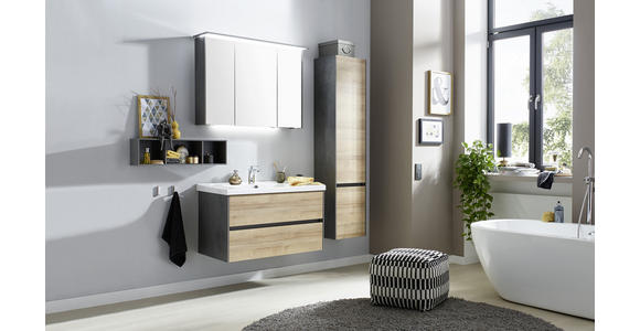 HOCHSCHRANK 37/168/33 cm - Dunkelgrau/Eichefarben, Design, Glas/Holzwerkstoff (37/168/33cm) - Dieter Knoll