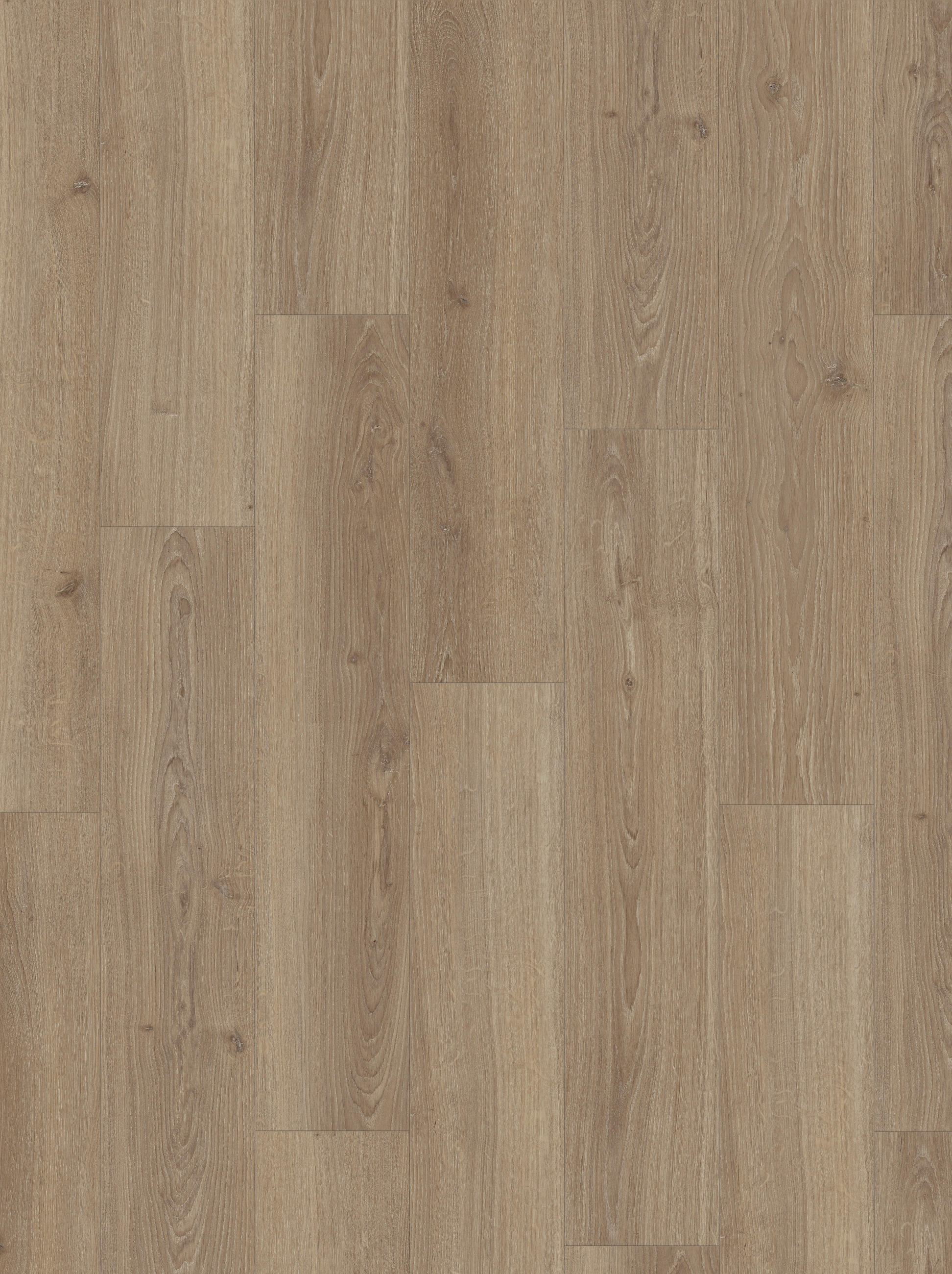 LAMINATBODEN Laminat Basic 600  per  m² - Basics (128,5/24,3/0,8cm) - Parador