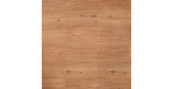 Vinylboden Eiche Primus per m² - Eichefarben/Braun, LIFESTYLE, Holzwerkstoff (123,5/23/0,82cm) - Venda