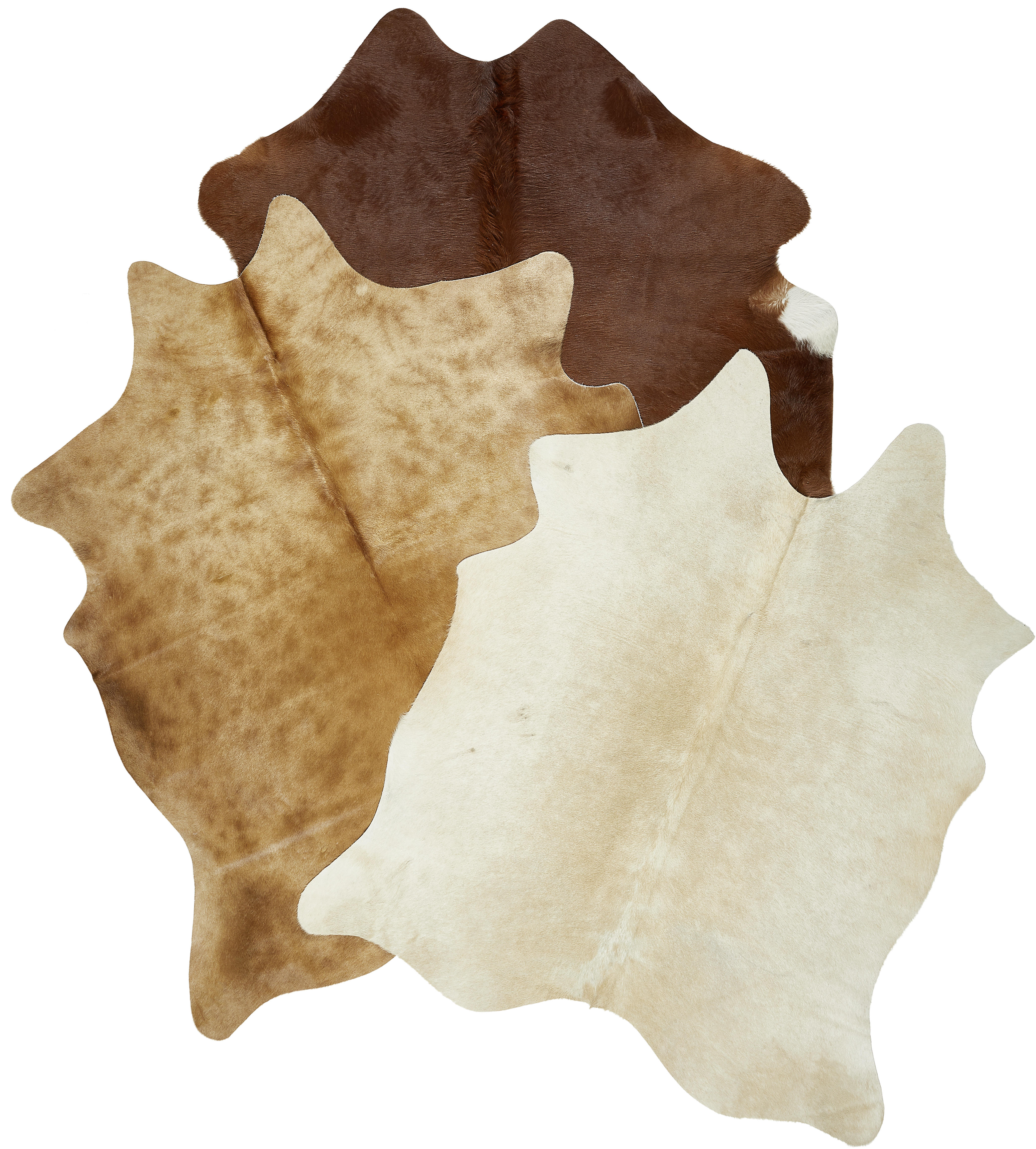 KOSKINN  - beige/brun, Trend, läder/päls (2-3qm) - Linea Natura