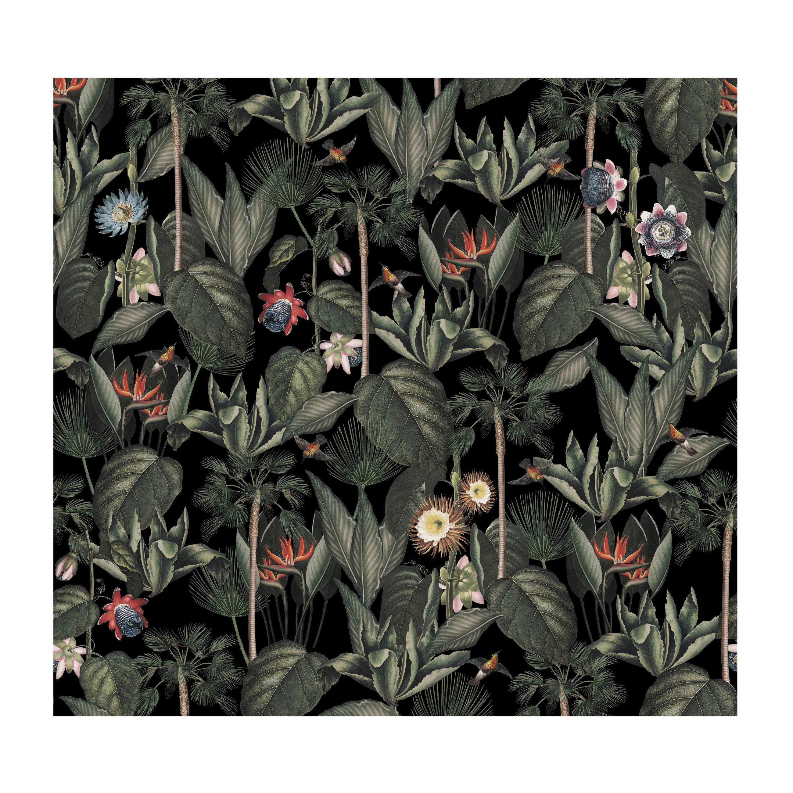 FOTOTAPET 300/280 cm  - multicolor, Basics, papper/plast (300/280cm)