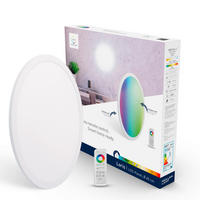 LED Decken-/Wandpanel 45 cm  45/5,1 cm    - Weiß, Basics, Kunststoff (45/5,1cm) - Tint
