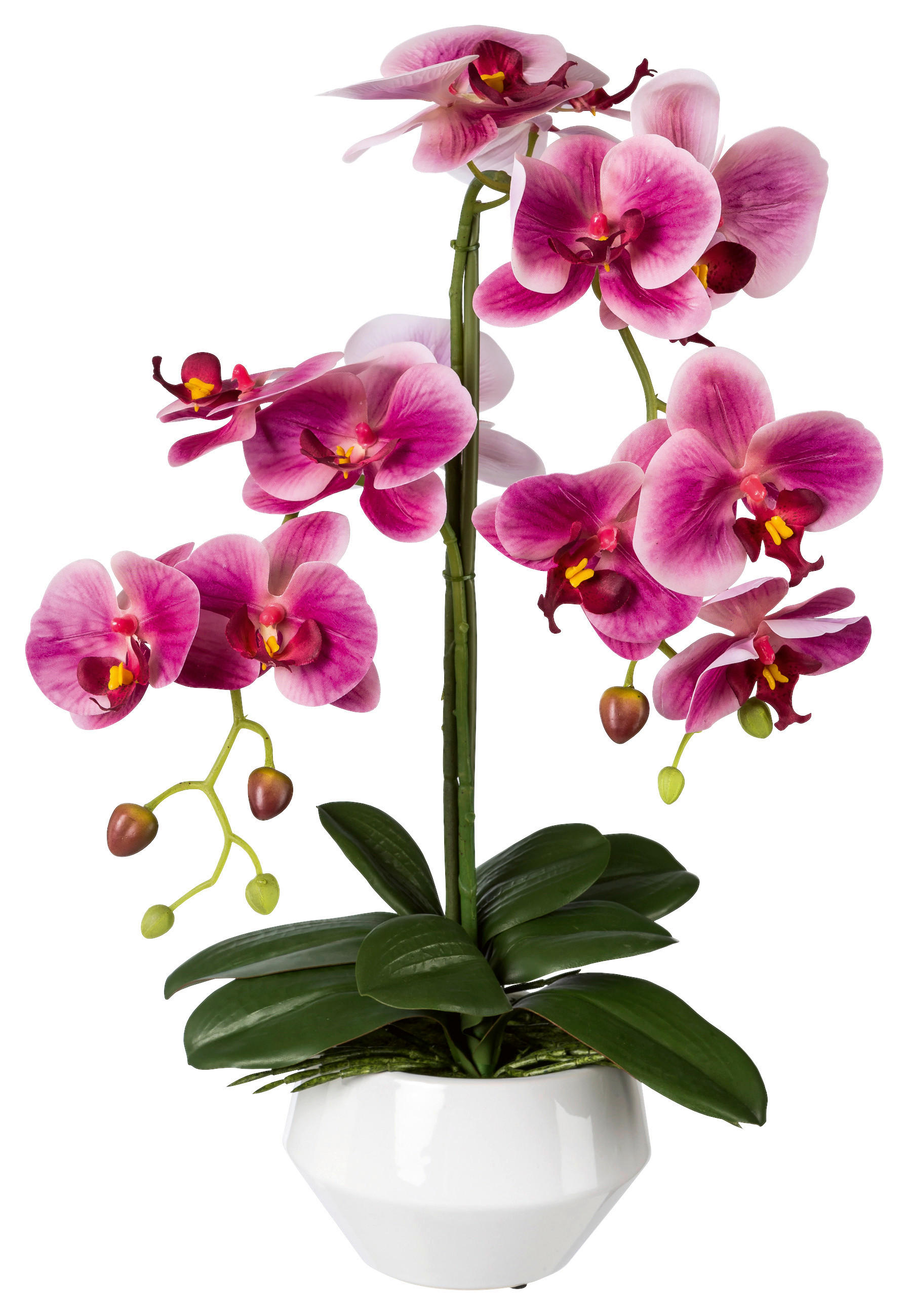KUNSTPFLANZE Orchidee 52 cm  - Dunkelrosa/Schwarz, Design, Keramik/Kunststoff (52cm) - P & B