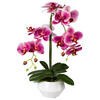 KUNSTPFLANZE Orchidee 52 cm  - Dunkelrosa/Schwarz, Design, Keramik/Kunststoff (52cm) - P & B