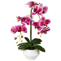 KUNSTPFLANZE Orchidee 52 cm  - Dunkelrosa/Schwarz, Design, Keramik/Kunststoff (52cm) - P & B