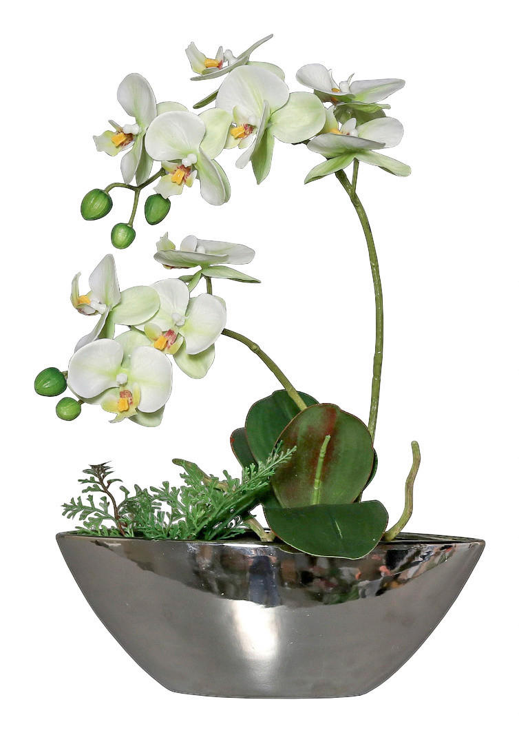 UMELÝ KVET orchidea 40 cm - zelená/krémová, Basics, plast (40cm)