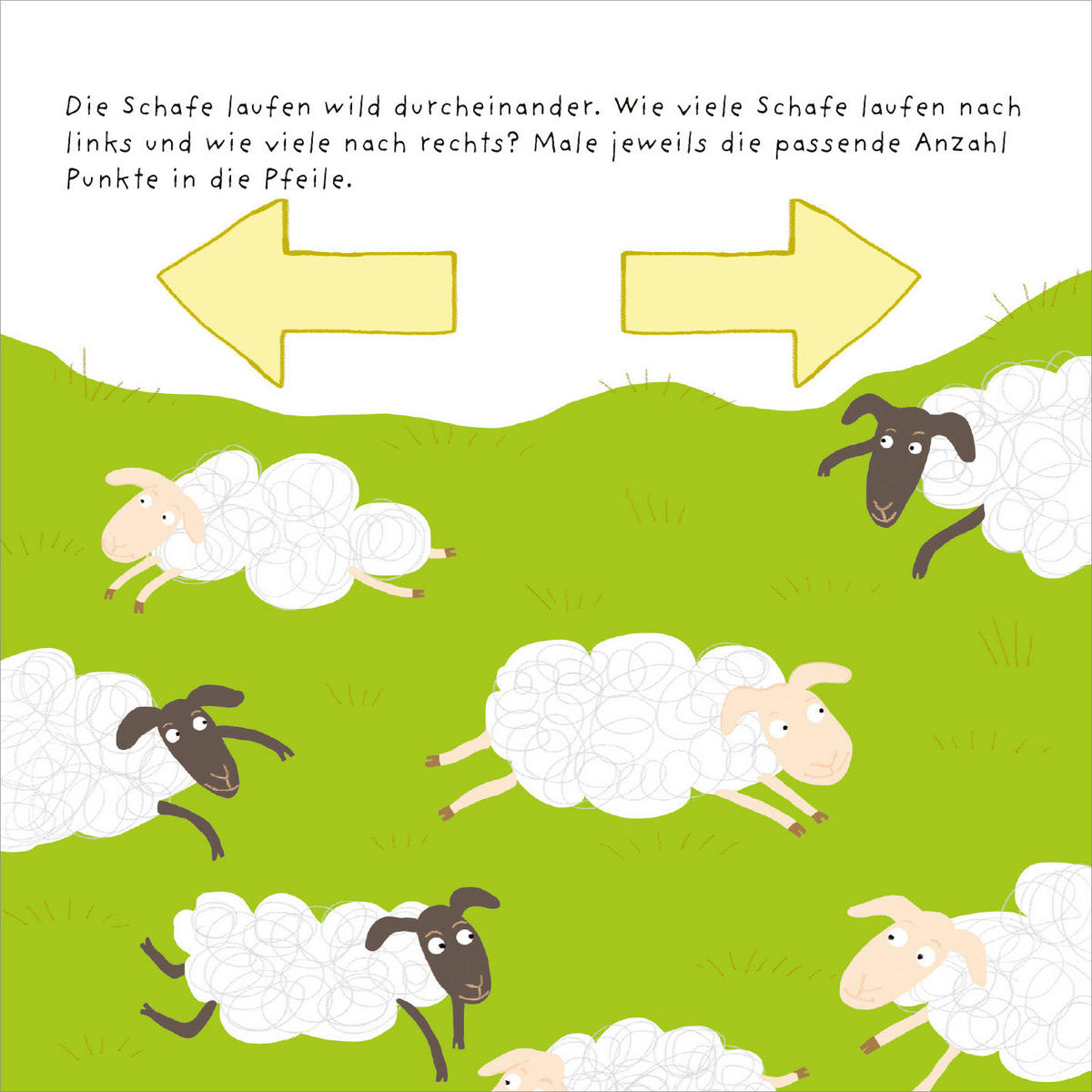 BUCH  - Multicolor, Basics, Papier (17/17/1cm)