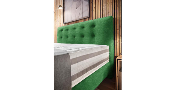 BOXSPRINGBETT 160/200 cm in Grün - Grün, KONVENTIONELL, Holz/Textil (160/200cm) - Dieter Knoll