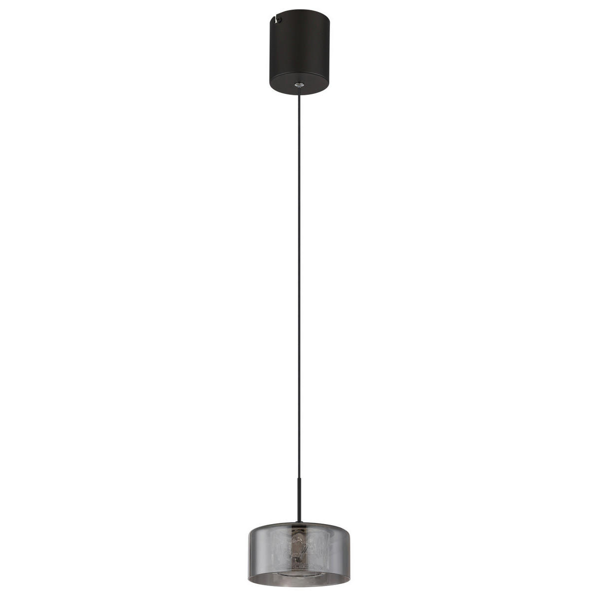 LED FÜGGŐLÁMPA 15/150 cm  - fekete/átlátszó, Basics, műanyag/Üveg (15/150cm)