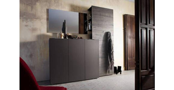 SCHUHSCHRANK in 120/101/39 cm - Edelstahlfarben/Anthrazit, Design, Holzwerkstoff/Kunststoff (120/101/39cm) - Carryhome