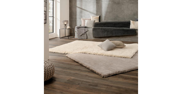 HOCHFLORTEPPICH 60/110 cm Yogi Taupe - Taupe, Design, Textil (60/110cm) - Novel