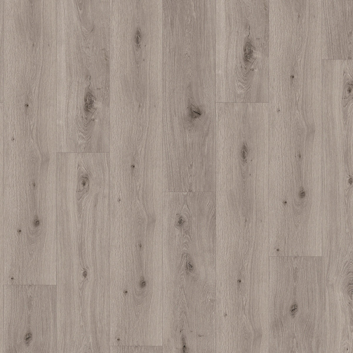 DESIGNBODEN Trendtime 8 1744828  per  m² - Eichefarben, Design, Kunststoff (152,2/22,5/0,06cm) - Parador