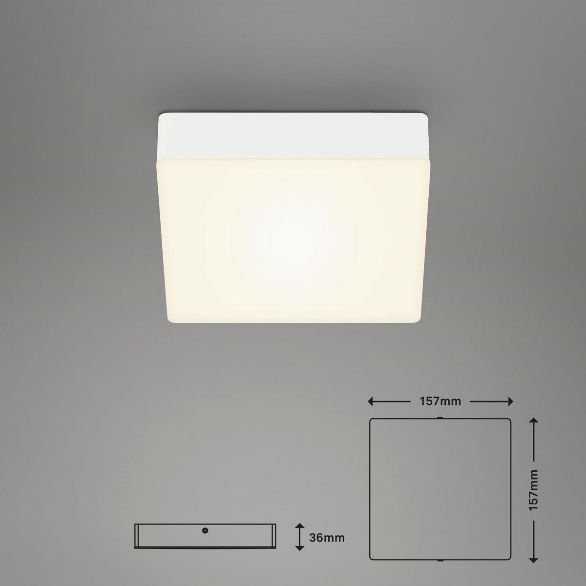 STROPNÉ SVIETIDLO, 15.7/15.7/3.6 cm - biela, Design, plast (15.7/15.7/3.6cm)