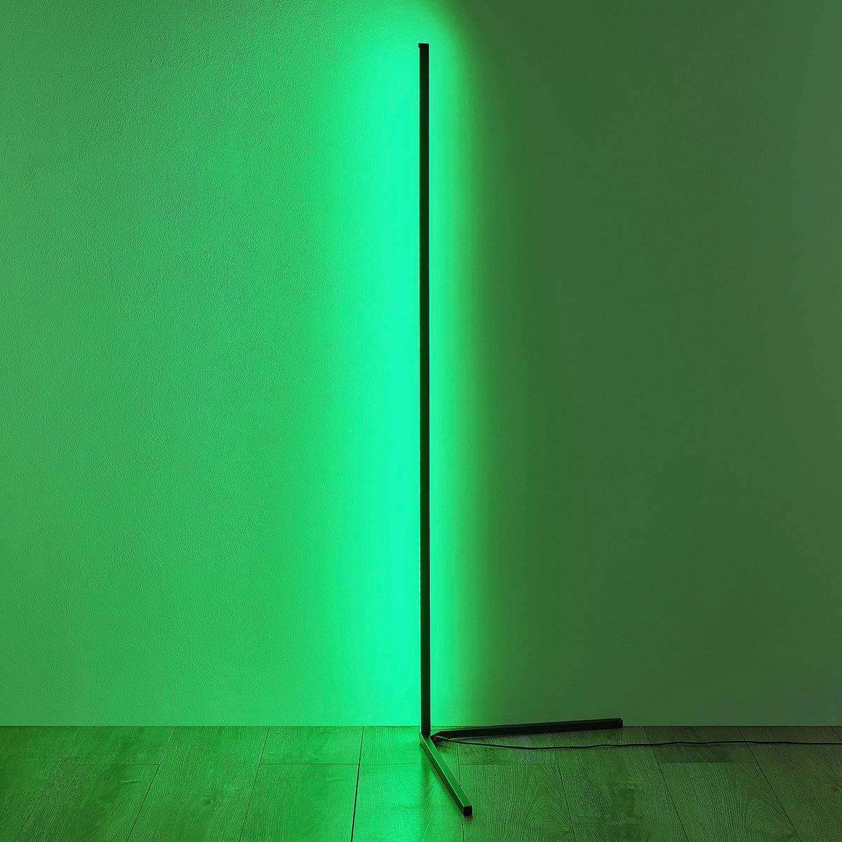 LED STOJACÍ LAMPA, 43/141 cm  - černá, Trend, kov (43/141cm)